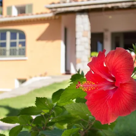 Les Lentisques 3* Cargèse