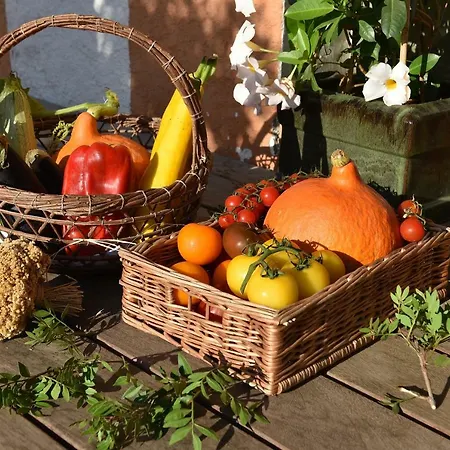 호텔 Les Lentisques