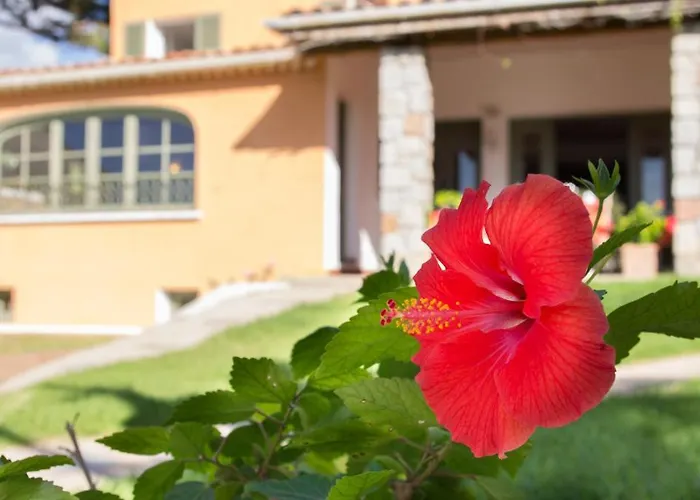 Les Lentisques 3* Cargèse